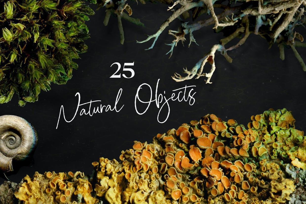25个大自然物品元素背景图素材