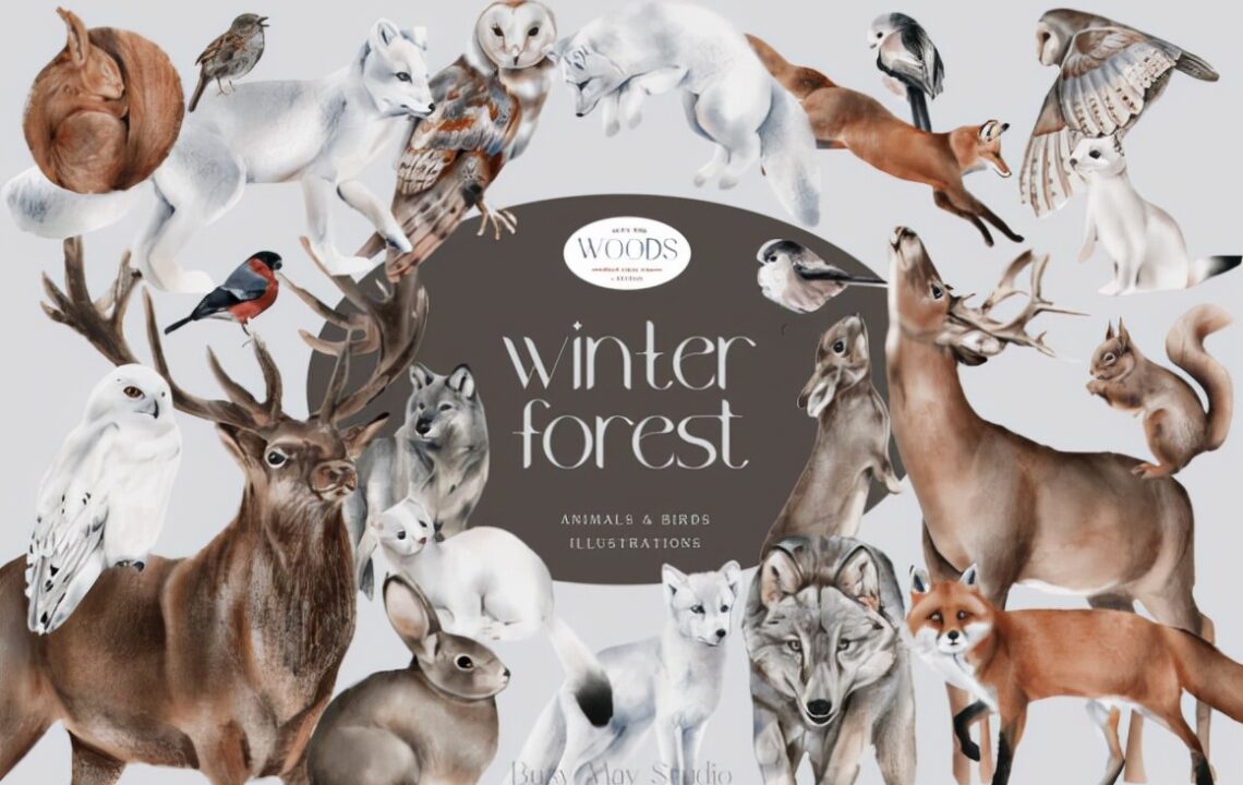 冬季森林动物和鸟类剪贴画素材