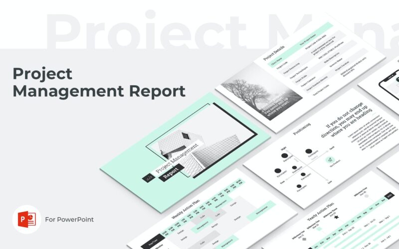 项目管理报告演示模板