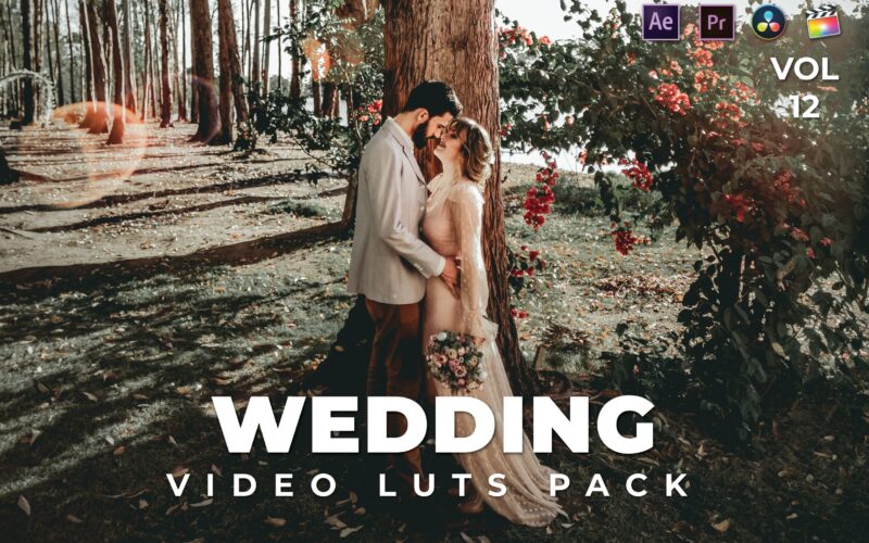 婚礼视频后期剪辑LUT调色预设包